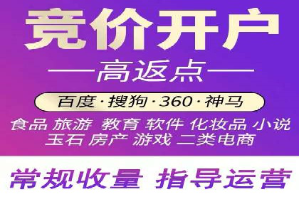百度竞价代运营公司成功案例揭秘：策略与执行